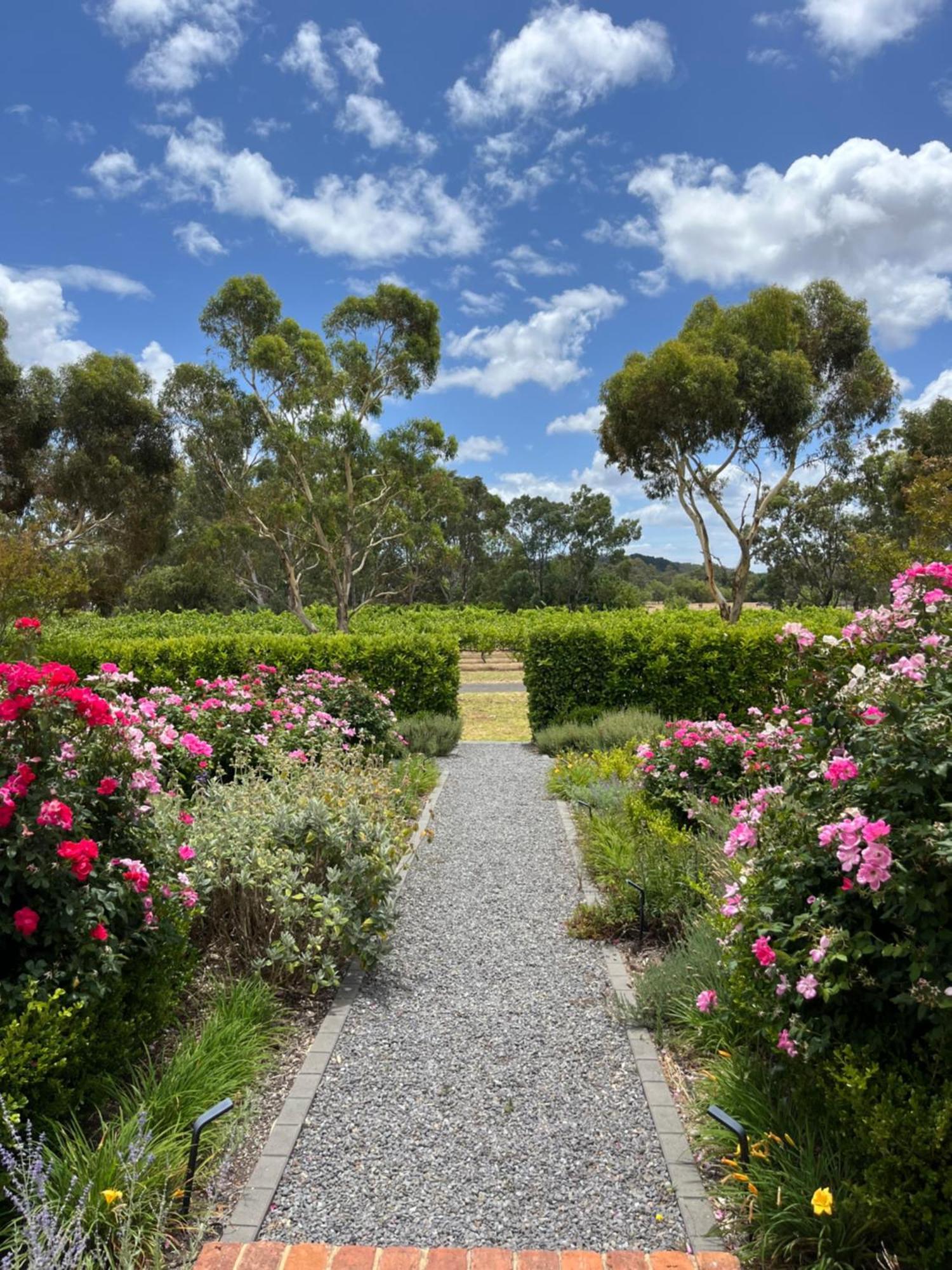 Oxenberry Farm Villa Mclaren Vale Exterior photo