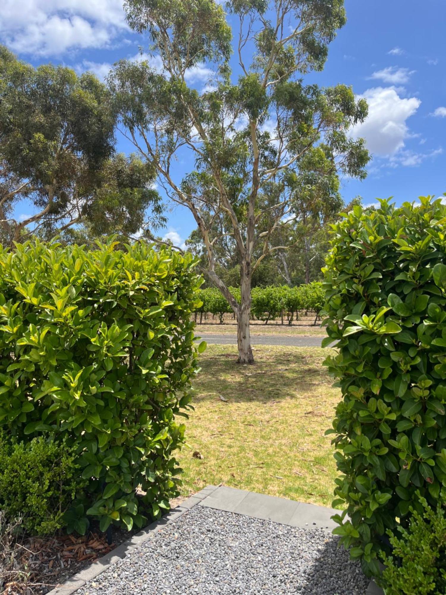 Oxenberry Farm Villa Mclaren Vale Exterior photo
